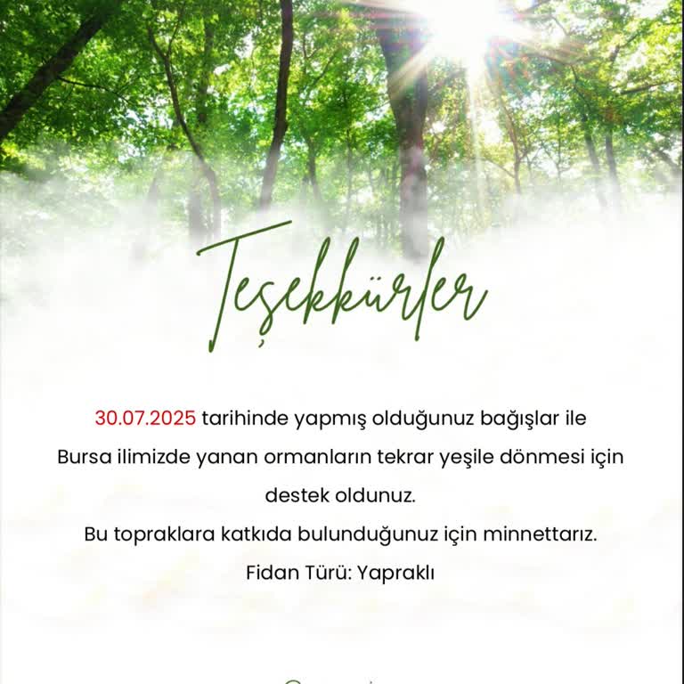 Ormanla Sertifikayı Göndermediler