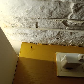 Odamızda Örümcek Ve Temizlik Sorunu Tatilimizi Mahvetti