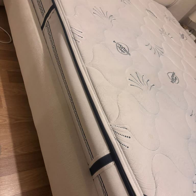 Bellona Bioenergy Yatakta 1 Yıl İçinde Çökme Sorunu