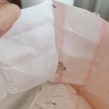 Son Kullanma Tarihi Geçmiş Ve Bozuk Ürün Satışı