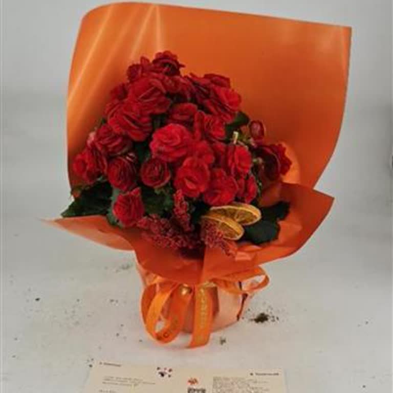 Eksik Ve Kusurlu Ürün, Fatura Yok!