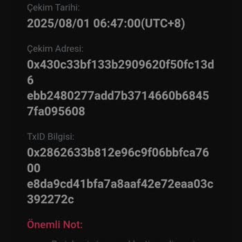 BTCTURK Yatırdığım Apt Parayı Hesabıma Yansıtmıyor, Destek Yetersiz