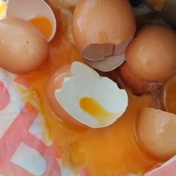 Metro Grossmarket Aldığım Organik Yumurtalar Bozuk Çıktı, Hayal Kırıklığı Yaşadım