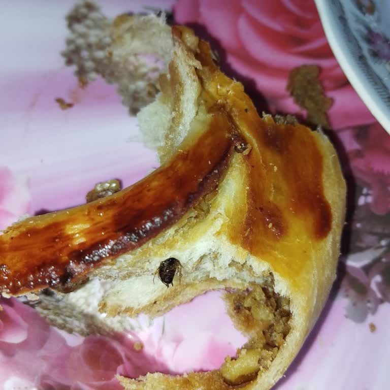 Tahinli Çörekten Böcek Çıkması Güvenimizi Sarsıyor