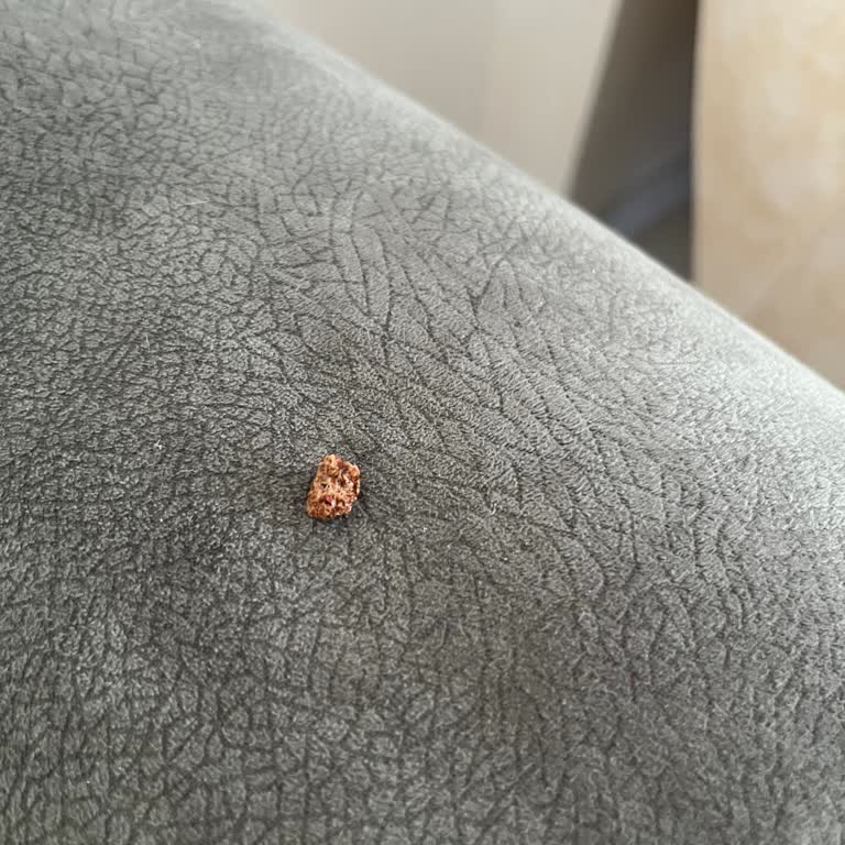 Faruk Güllüoğlu Üründen Taş Çıktı