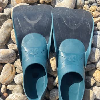 3 Günde Deforme Olan Palet Hayal Kırıklığı Yarattı