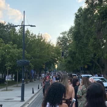 Organizasyon Fiyaskosu: Güvenlik Ve Düzen Sıfırdı!