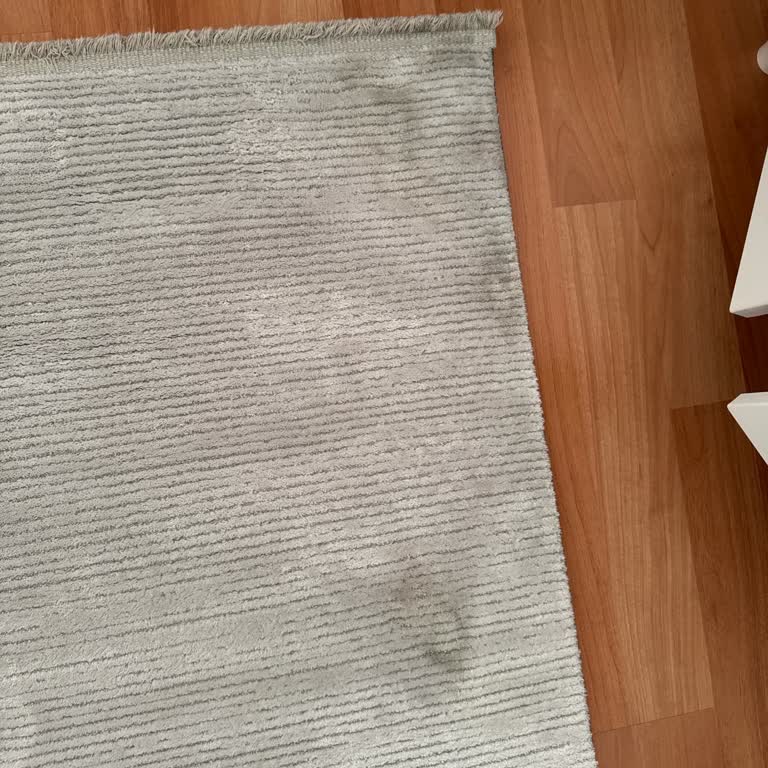 Halı Yıkama Sonrası Yeni Lekeler Ve Saygısız Müşteri Hizmetiyle Mağduriyet