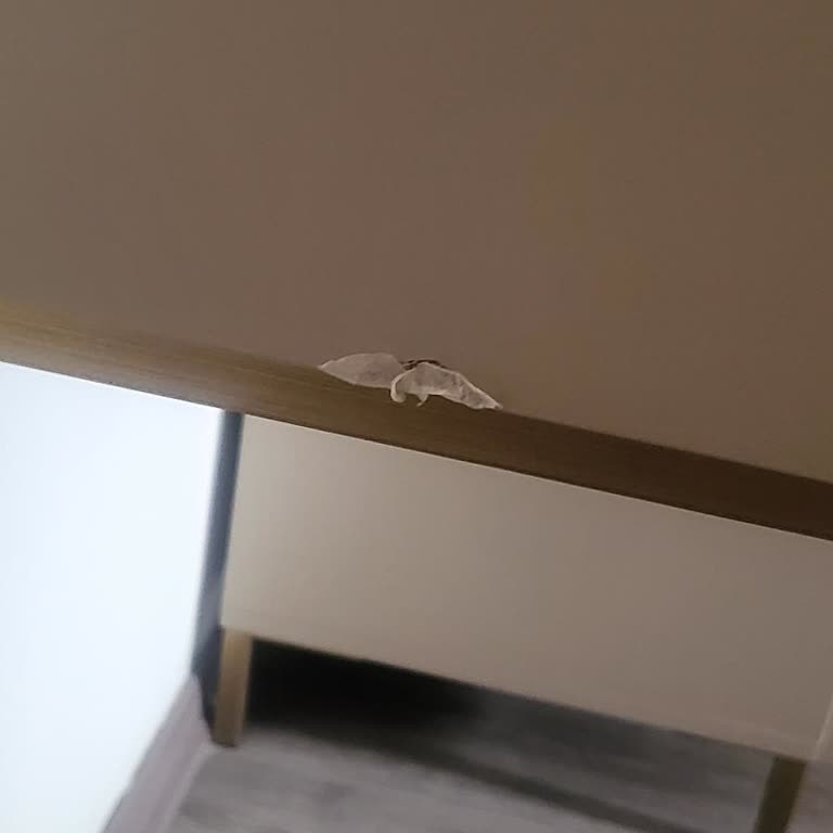 Teslim Edilen Üründe Kırık Ve İlgisiz Müşteri Hizmeti Nedeniyle Mağduriyet