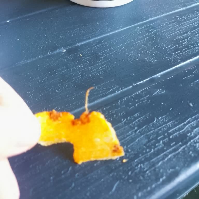 Aldığım Cips Paketinden Tüy Çıktı, Hijyen Konusunda Endişeliyim