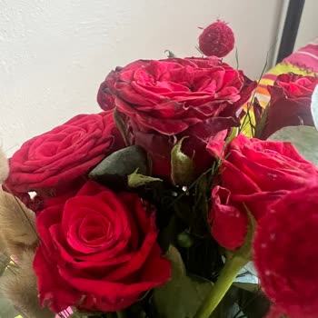 Çürümüş Ve Solmuş Çiçeklerin Teslimatı Nedeniyle Mağduriyet