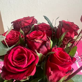 Çürümüş Ve Solmuş Çiçeklerin Teslimatı Nedeniyle Mağduriyet