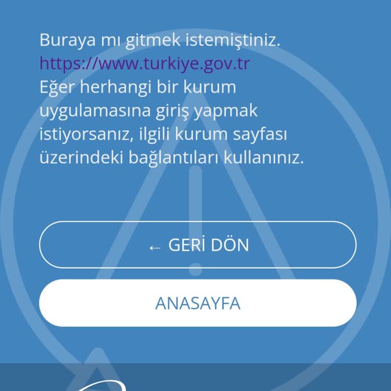 HGS Bakiyemi Sorgulayamıyor Ve Bakiye Yükleyemiyorum