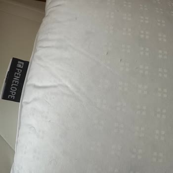 Yüksek Fiyatlı Kaz Tüyü Yastıklarda Sürekli Tüy Çıkışı Ve Hayal Kırıklığı