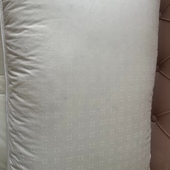 Yüksek Fiyatlı Kaz Tüyü Yastıklarda Sürekli Tüy Çıkışı Ve Hayal Kırıklığı