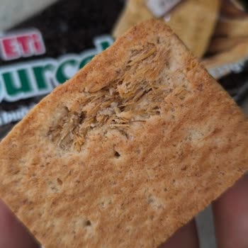 Paketli Bisküvide Yabancı Madde ve Müşteri Desteği Sorunu