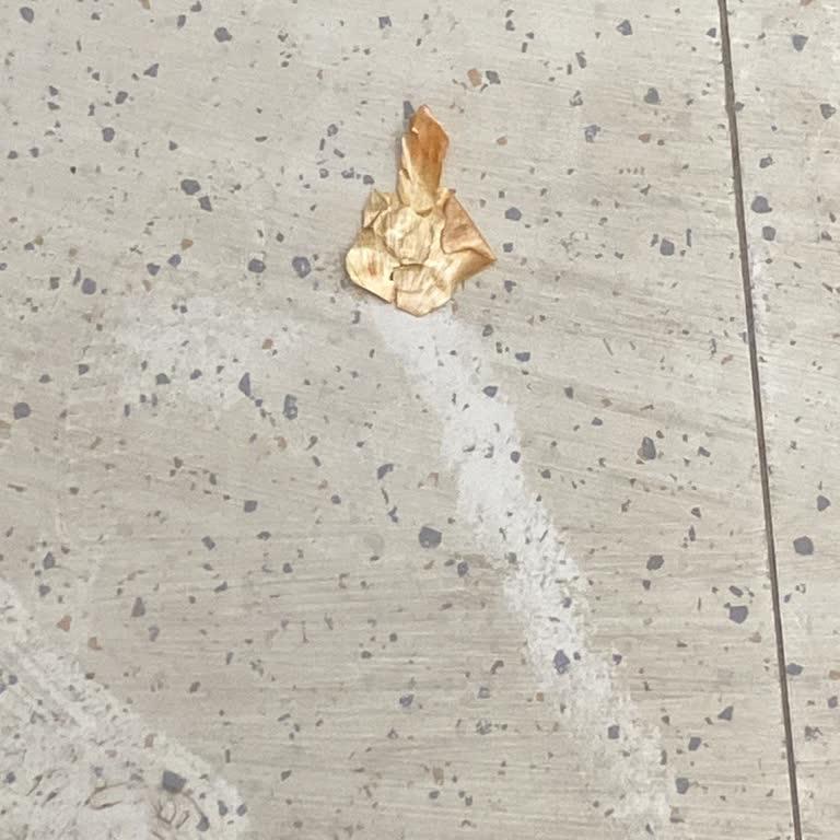 Teslim Edilmeyen Cihaz İçin Haksız Ücretlendirme Ve Yanıltıcı Evrak Sorunu