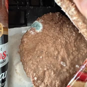 Şok Marketten Aldığım Ürün Küflü Çıktı!