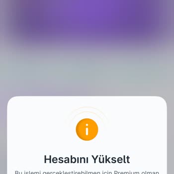 1.000 TL'me Erişemiyorum: Kimlik Doğrulama Ve Destek Sorunu