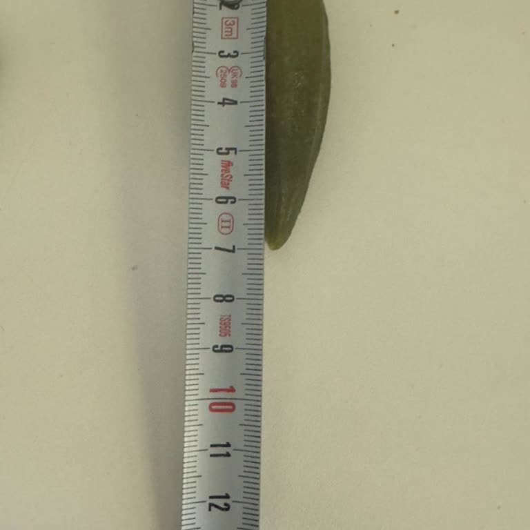 Yanıltıcı Ürün Ve İade Sürecinde İlgisizlik: Ücret İadem Yapılmadı