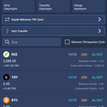 Bitexen Hesabımdaki Kripto Paralarım Sıfırlandı Ve Mağdur Edildim