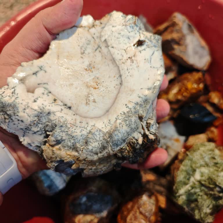 Mineralvedogaltaşlar Vaat Edilen Ürünler Gönderilmedi