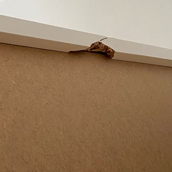 Kırık Gardırop Kurulumu Sonrası İlgisizlik Ve Çözüm Sunulmaması Mağduriyet Yarattı