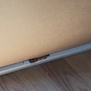 Kırık Gardırop Kurulumu Sonrası İlgisizlik Ve Çözüm Sunulmaması Mağduriyet Yarattı