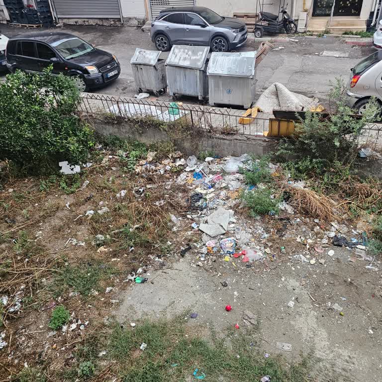 Çöp Kutularının Düzenli Temizlenmemesi Nedeniyle Oluşan Kirlilik Ve Sağlık Sorunları