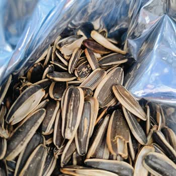 Şok Marketten Aldığım Çekirdeklerin Çoğu Boş Çıktı Paramla Çöp Aldım