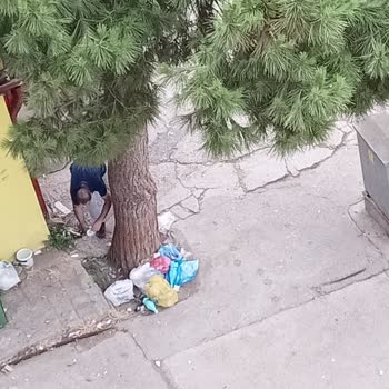 Mahallemizde Çöp Atımı Ve Güvenlik Sorunu