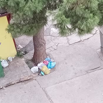 Mahallemizde Çöp Atımı Ve Güvenlik Sorunu