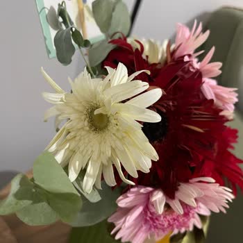 Teslim Edilen Çiçekler Kısa Sürede Soldu