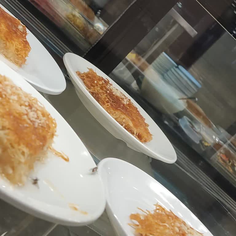 Mola Yerinde Hijyen Eksikliği Ve Ölü Sineklerle Karşılaşmak