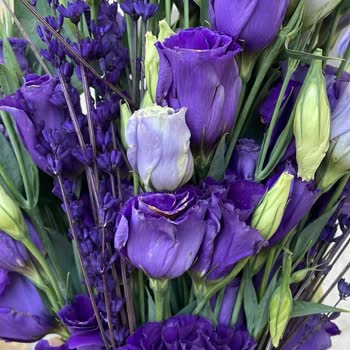 Sipariş Edilen Çiçek Görselinden Farklı Ve Solmuş Geldi