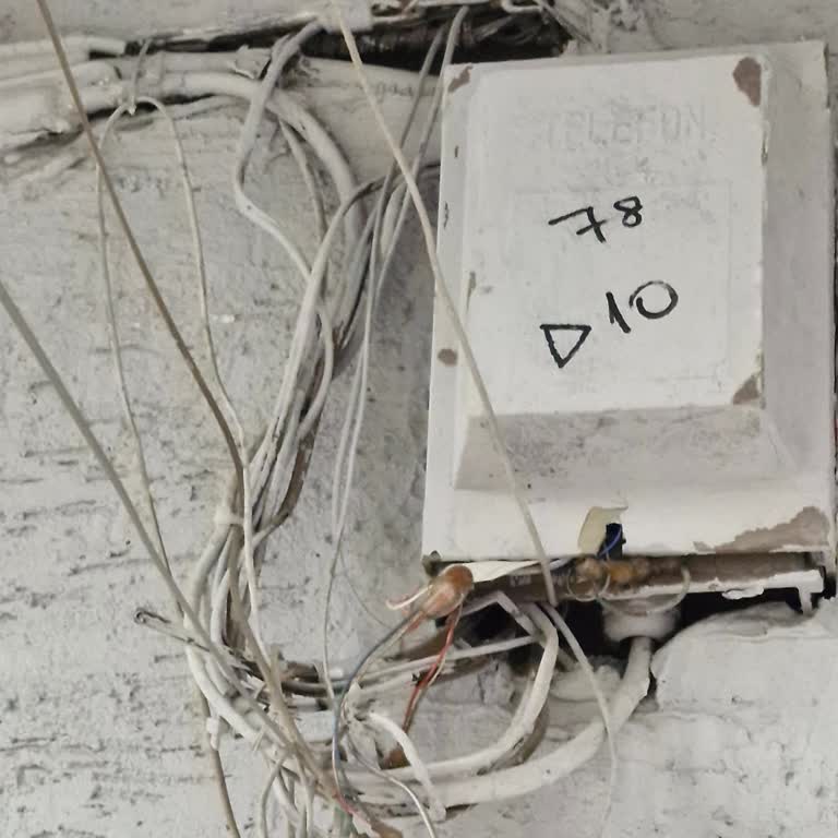 Kopmuş Kablolar Yüzünden İnternetim Yok, Ekipler Fiziksel Müdahale Etmiyor