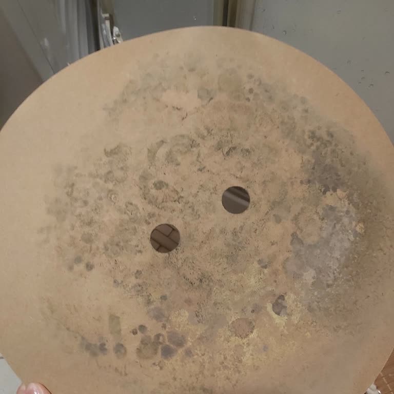 Bambu Çamaşır Sepetinde Küflenme ve Kullanım Sorunu