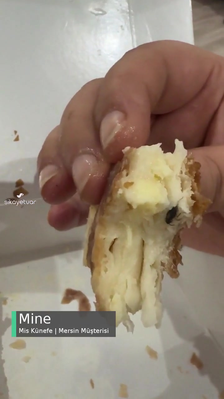 Mersin Mis Künefe Börekte Hamam Böceği videonun kapak resmi