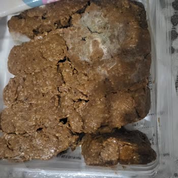 A101 Tellidere Şubesinden Küflü Çiğköfte Satışı Ve Sağlık Riski