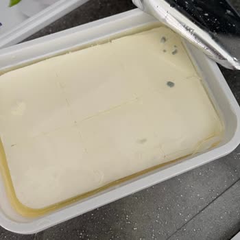 Tarihi Geçmemiş Ekici Peynirlerde Küf Sorunu