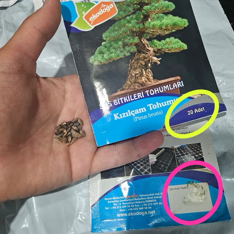 Eksik Ve Hijyenik Olmayan Tohum Gönderimi, İade Talebim Reddedildi