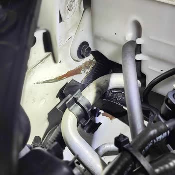 Ekspertiz Raporu Mağduriyetiyle Büyük Maddi Kayıp Yaşadım