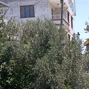Elektrik Kesintisi Sonrası Televizyonum Bozuldu, Mağduriyetim Giderilmiyor