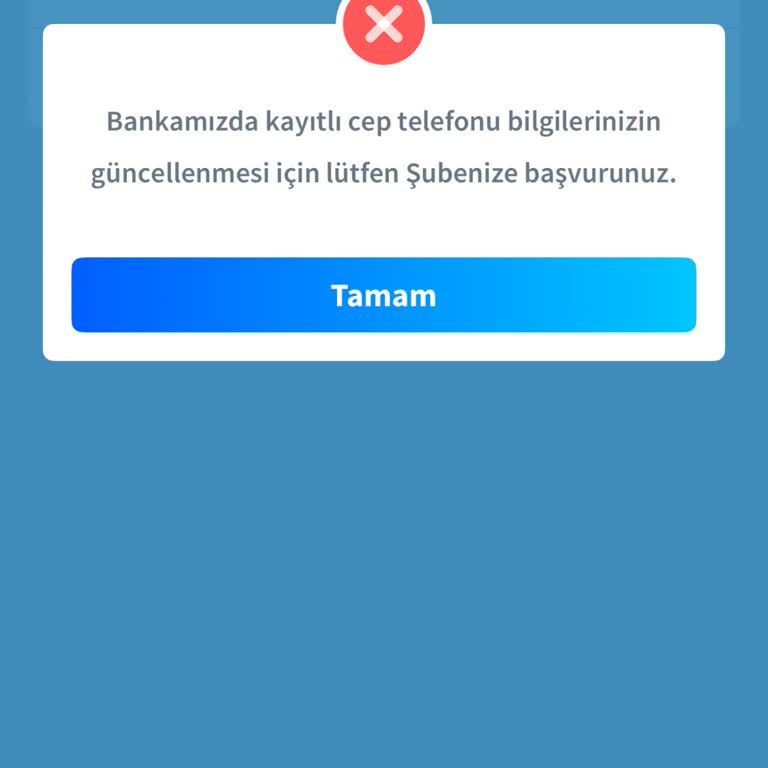 Sim Kart Değişikliği Sonrası Mobil Bankacılık Erişim Sorunu Ve Şube Zorunluluğu