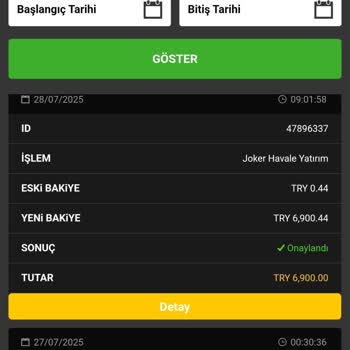 Dinamobet'te Kazanç Ve Destek Sorunları