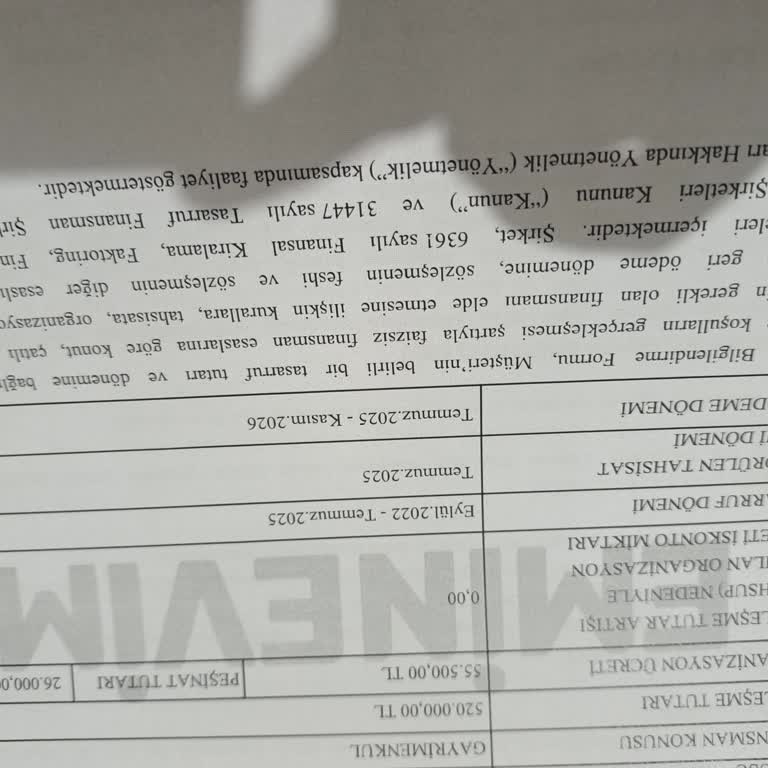 Dosya Sürecinde Yaşanan Gecikme ve Teslimat Sorunu