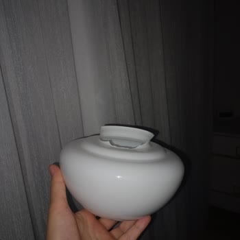 Tavan Vantilatörünün Cam Karpuzu Aniden Kırıldı Yedek Parça Bulamıyorum