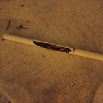 Winston Slim Blue Sigara Paketinden Defolu Ürün Çıkması