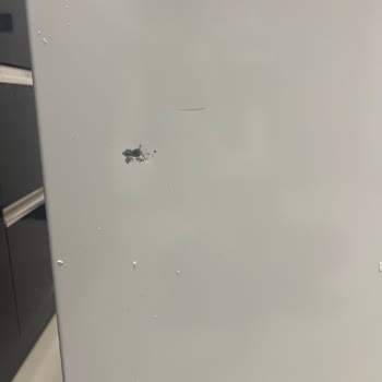 Defolu Bulaşık Makinesi Teslimatı Ve İlgisiz Teknik Servis Mağduriyeti