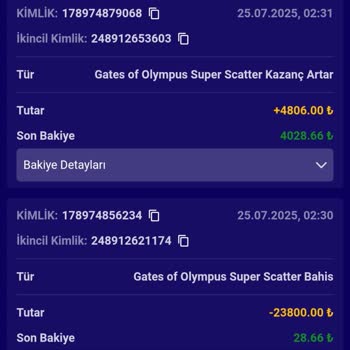 Hesabımdan İzinsiz Girişle Kaybolan Para Ve Yetersiz Güvenlik Önlemleri